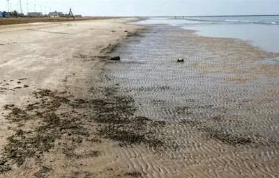 منشاء آلودگی نفتی ۳.۲ هکتار ساحل و ۹ هکتار از آبهای ساحلی قشم و هنگام کجاست؟