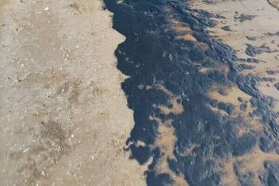 آلودگی نفتی سواحل جزیره قشم تحت کنترل است