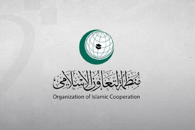 هشدار سازمان همکاری اسلامی درباره افزایش جنایتهای صهیونیستی