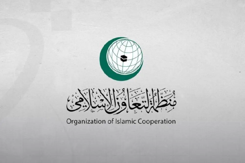 هشدار سازمان همکاری اسلامی درباره افزایش جنایتهای صهیونیستی