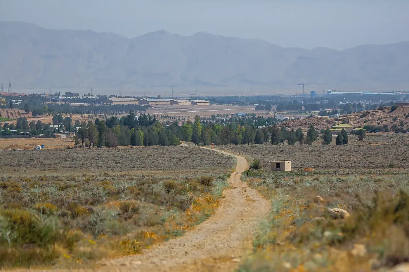 «بمو» را تکهتکه کردند