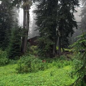  تو برای معمولی بودن ساخته نشدی