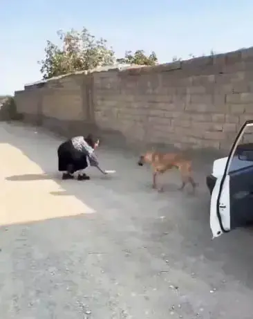 تصاویری از بلاگر خانمی که بازداشت شد