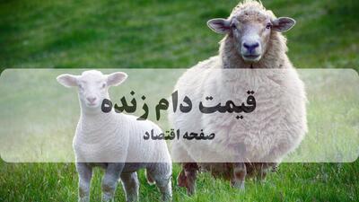 آخرین قیمت دام زنده امروز ۲۳ مرداد / گوسفند کیلویی چقدر شد؟