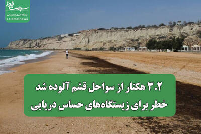 ۳.۲ هکتار از سواحل قشم آلوده شد/ خطر برای زیستگاههای حساس دریایی