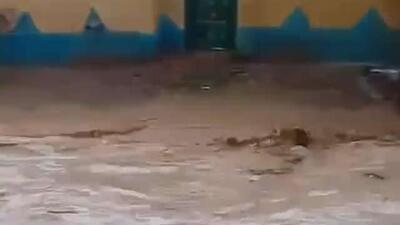 کشته شدن دست کم 5 نفر در سیل در چاد
