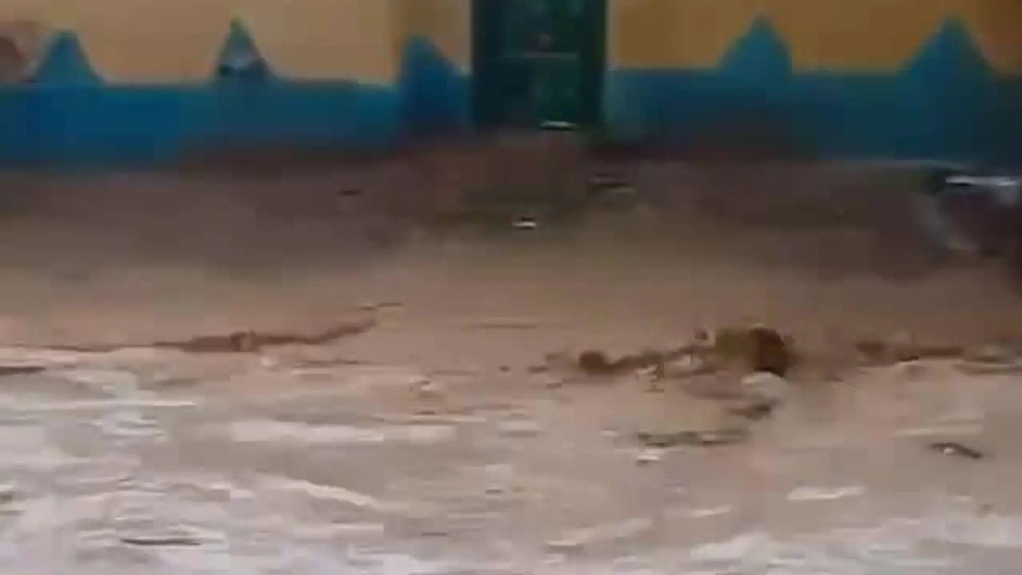 کشته شدن دست کم 5 نفر در سیل در چاد