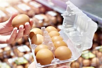 نرخ واقعی هر کیلو تخممرغ اعلام شد