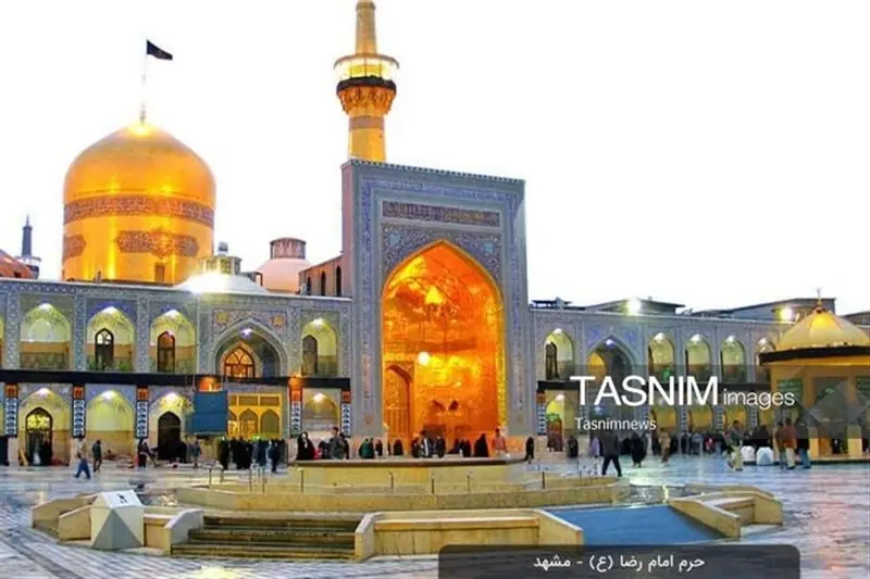 8 روایت داستانی از زندگی امام رضا(ع) برای کتابخوانها - تسنیم