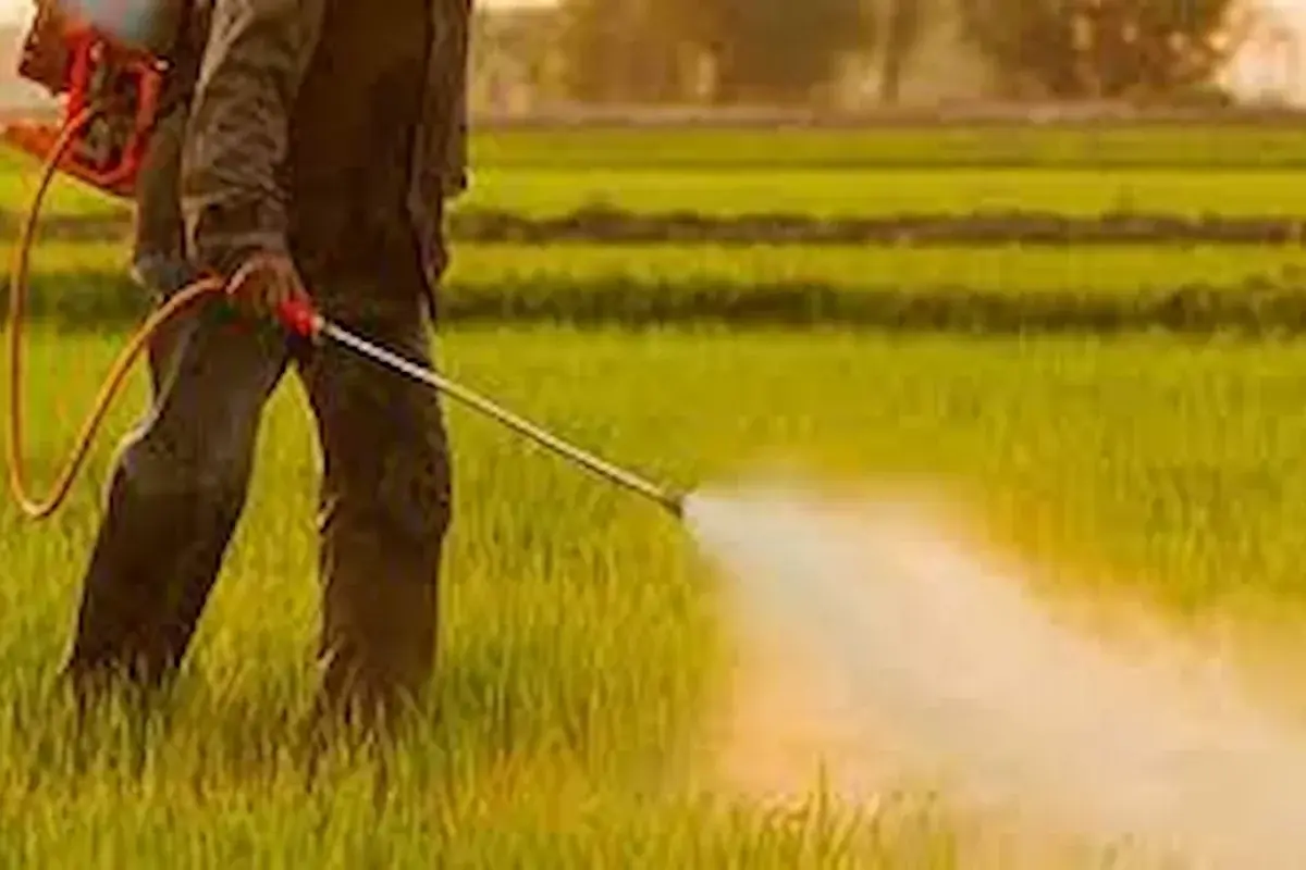طرح جدید اروپا برای مقابله با آفتکشها، صبحانه را گران میکند؟