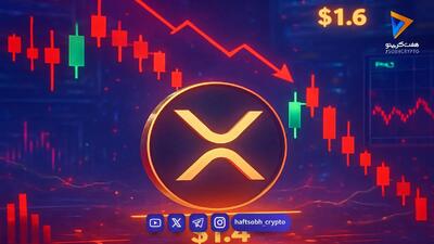 نهنگها در کف قیمتی ریپل وارد شدند؛ خرید ۳۸۰ میلیون XRP در یک هفته