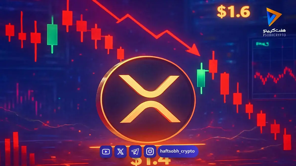 نهنگها در کف قیمتی ریپل وارد شدند؛ خرید ۳۸۰ میلیون XRP در یک هفته