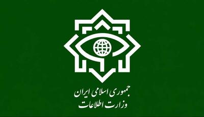 وزارت اطلاعات: دولت فرانسه باید پاسخگوی مداخلات دیپلماتهایش باشد