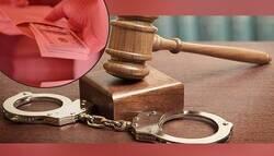 یکی از بخشداران رضوانشهر به جرم اخذ رشوه دستگیر شد