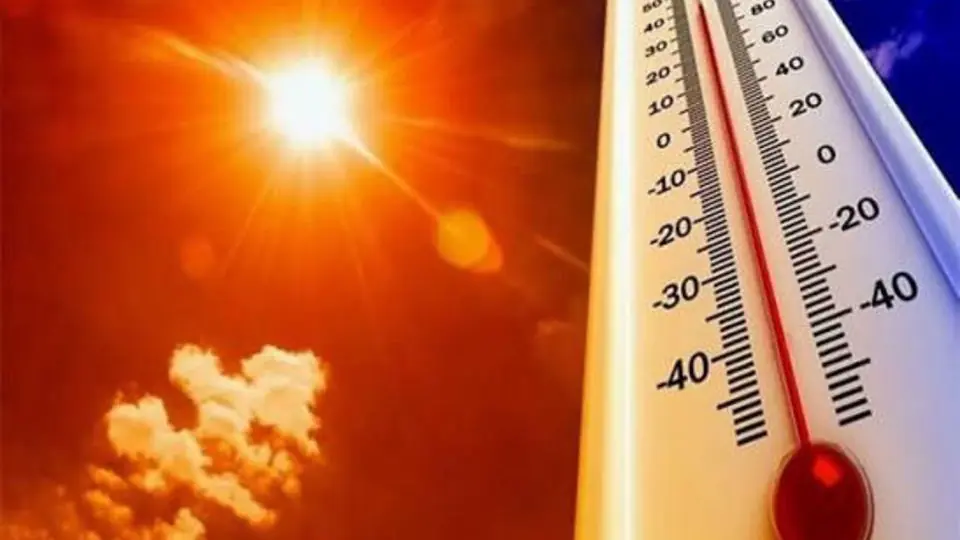 ۱۰ ترفند ساده برای خنک نگه داشتن خانه در روزهای گرم
