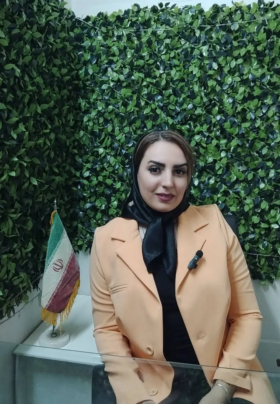 تلاش برای پیشبینی بحران
