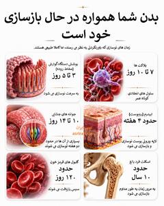 شما هر 10 سال یک بار کاملا نو می شوید! / راز یک بازسازی شگفت انگیز (+اینفوگرافیک)