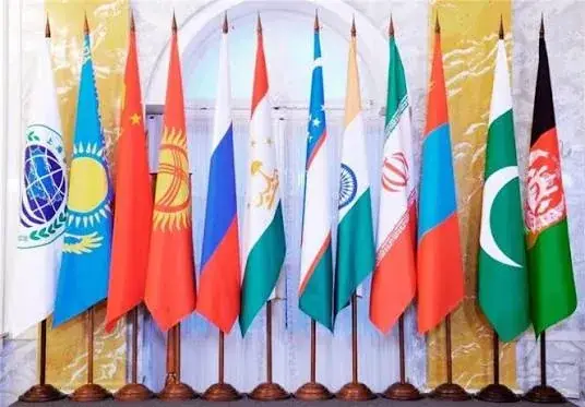 دلسردی ملی از دیپلماسی
