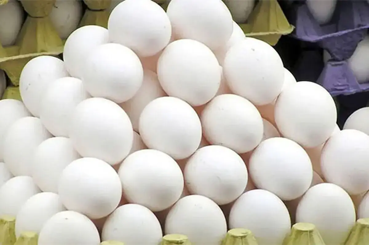  تابستان هم حریف گرانی تخم‌مرغ نشد