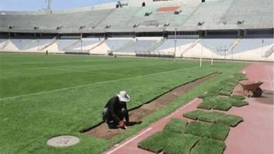 پیشنهاد عجیب انتقال چمن آزادی به اراک