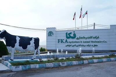  فروش ۵۴۱ میلیارد تومانی «زفکا» در خرداد؛ انتظار حفظ روند سودآوری/ نقشه راه یک دامپروری دانش‌بنیان
