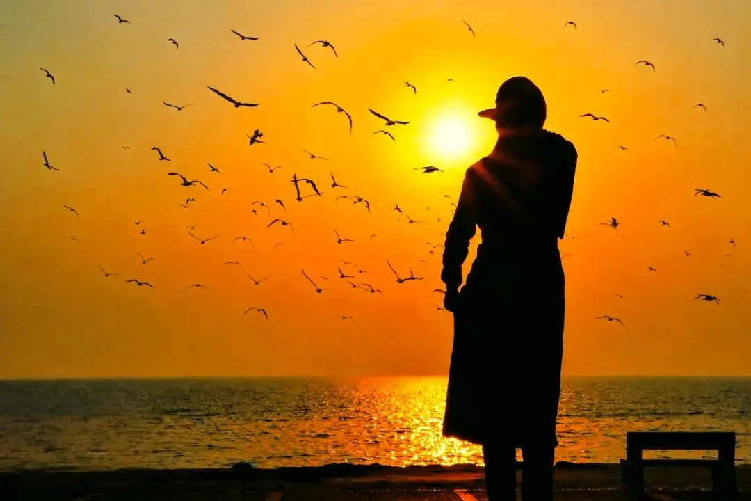تصاویر؛ غروب تماشایی بوشهر در آغوش خلیج فارس