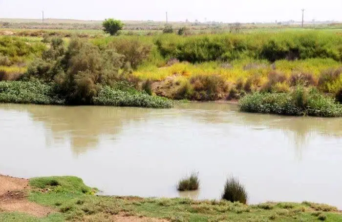 درخواست جلوگیری از ساختوساز غیرمجاز در حریم رودخانه شاوور در «عمله سیف» شوش
