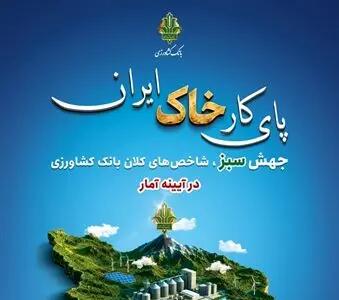 نماینده مجلس: عملکرد بانک کشاورزی در حمایت از امنیت غذایی،هوشمندانه و شایسته تجلیل است