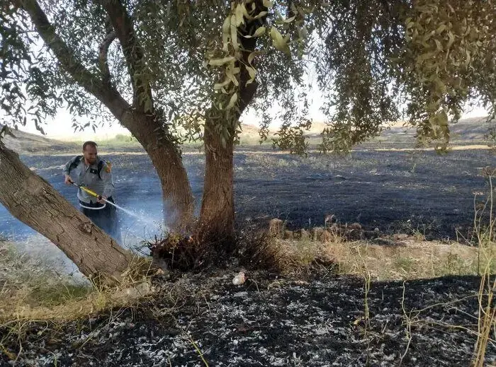 آتشسوزی در جنگل ایزدشهر نور مهار شد