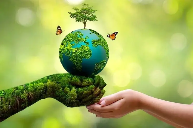 نقش تشکلهای زیستمحیطی در حفاظت از طبیعت/تشکلهای زیستمحیطی بازوی اجتماعی منابع طبیعی هستند