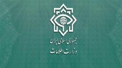 وزارت اطلاعات: دولت فرانسه پاسخگوی مداخلات دیپلماتهایش باشد