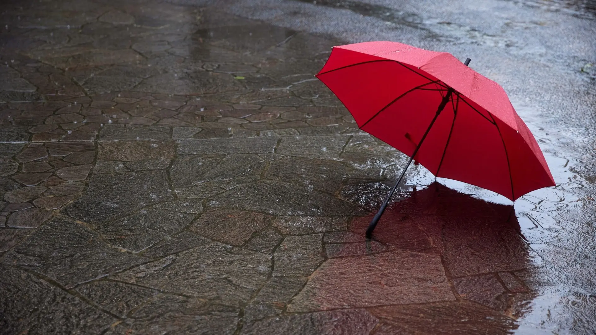 وضعیت هوای فردا گلستان یکشنبه ۲۵ مرداد ۱۴۰۵ | پیش بینی آب و هوا گلستان در ۲۴ ساعت آینده + هواشناسی گلستان