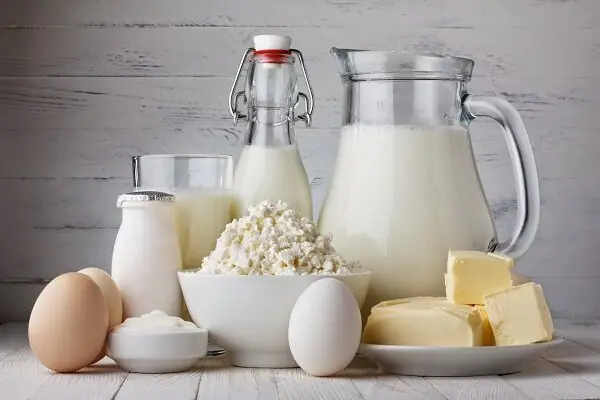 اثرات درمانی پروبیوتیکها بر بدن