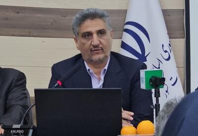زراعت چوب بدون کارشناسی، اراضی مرغوب و امنیت غذایی را تهدید میکند