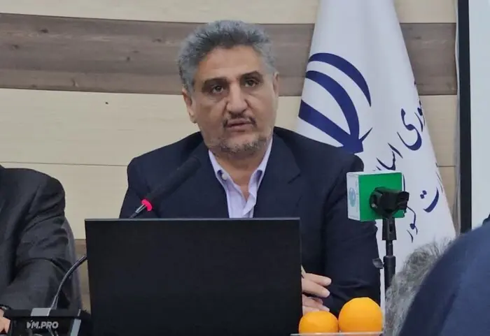 زراعت چوب بدون کارشناسی، اراضی مرغوب و امنیت غذایی را تهدید میکند