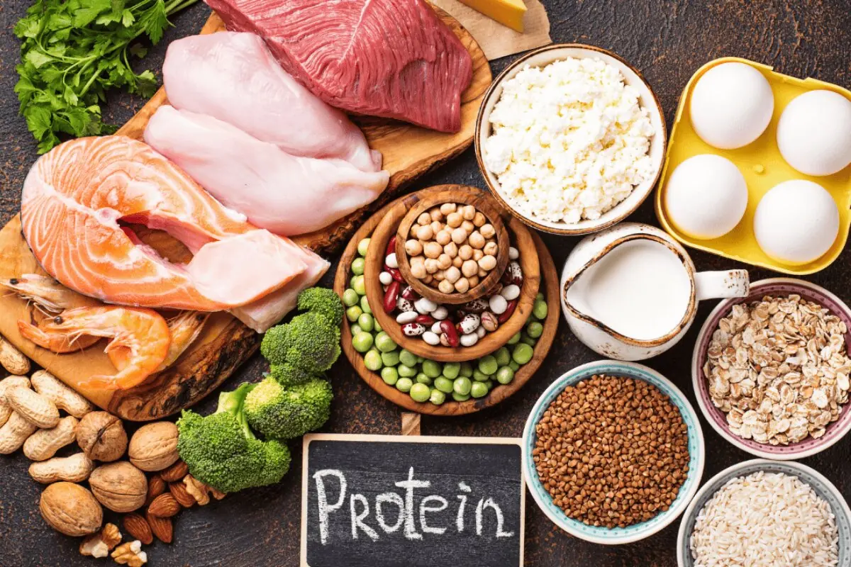 یک متخصص تغذیه: مصرف میزان زیاد پروتئین در بدن باعث افزایش توده عضلانی نمیشود