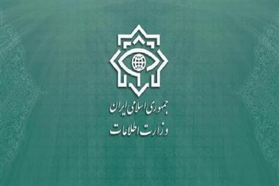 وزارت اطلاعات: دولت فرانسه پاسخگوی مداخلات دیپلماتهایش باشد