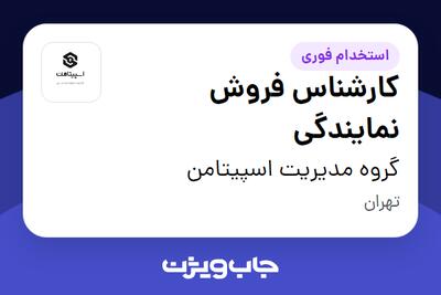  استخدام کارشناس فروش نمایندگی در گروه مدیریت اسپیتامن