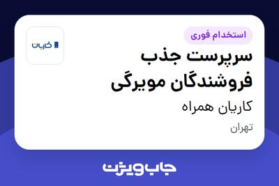 استخدام سرپرست جذب فروشندگان مویرگی در کاریان همراه
