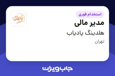 استخدام مدیر مالی در هلدینگ پادیاب