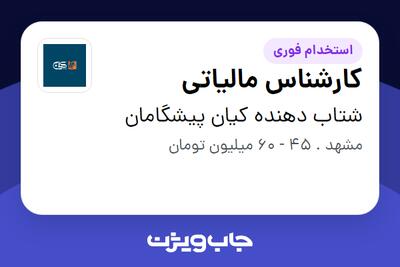 استخدام کارشناس مالیاتی در شتاب دهنده کیان پیشگامان