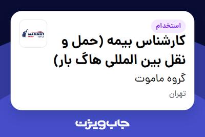 استخدام کارشناس بیمه (حمل و نقل بین المللی هاگ بار) در گروه ماموت