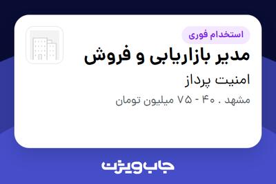 استخدام مدیر بازاریابی و فروش - خانم در امنیت پرداز