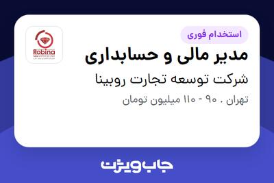 استخدام مدیر مالی و حسابداری در شرکت توسعه تجارت روبینا