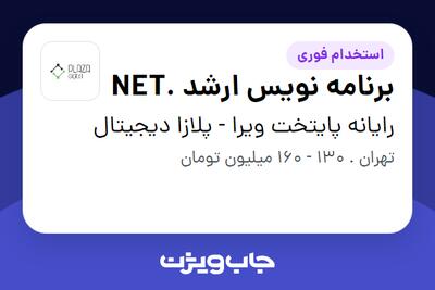 استخدام برنامه نویس ارشد .NET در رایانه پایتخت ویرا - پلازا دیجیتال