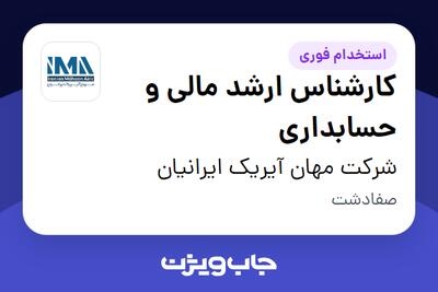  استخدام کارشناس ارشد مالی و حسابداری در شرکت مهان آیریک ایرانیان