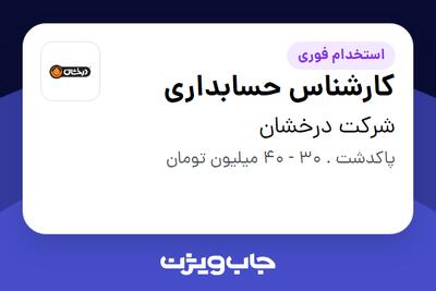  استخدام کارشناس حسابداری - خانم در شرکت درخشان