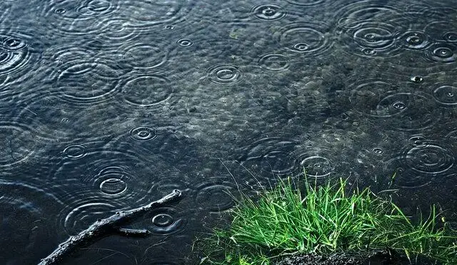 رگبار باران و رعدوبرق در ۷ استان