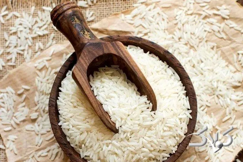 پای برنج آمریکایی چگونه به ایران باز شد؟ - مجله اینترنتی کولاک