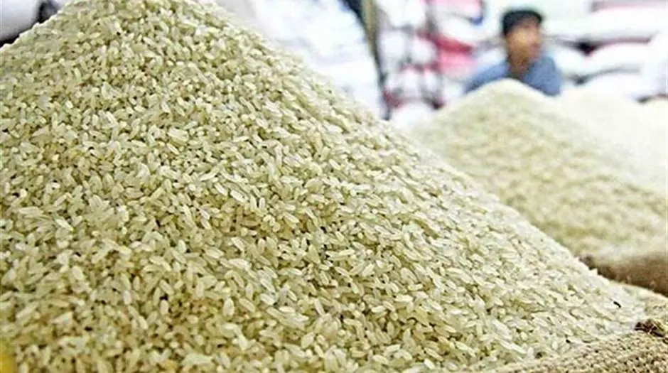چه کسانی برنج آمریکایی وارد کردند؟ + جزئیات ماجرا - مردم سالاری آنلاین